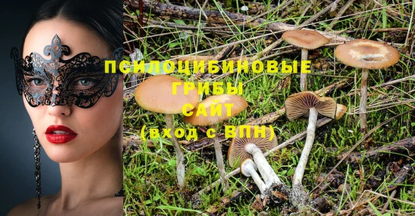 PSILOCYBIN Вязники