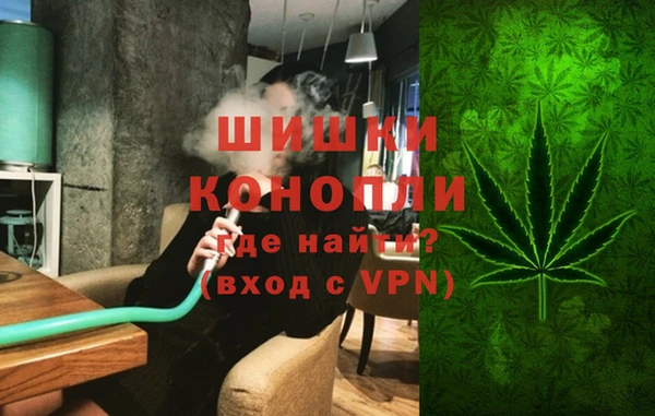 гашик Вязьма
