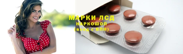 гашик Вязьма