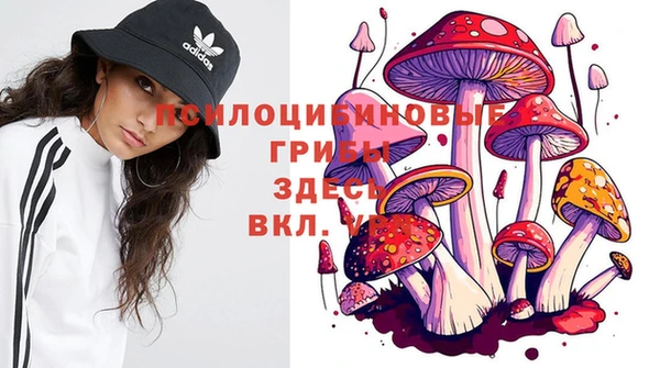 альфа пвп Володарск