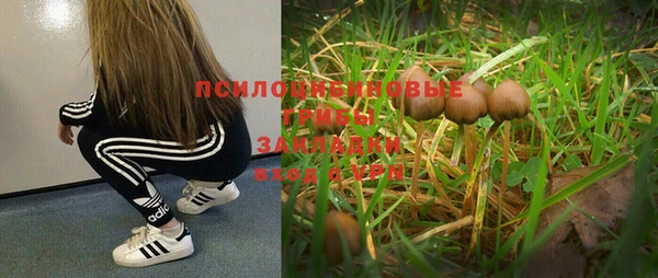 гашик Вязьма