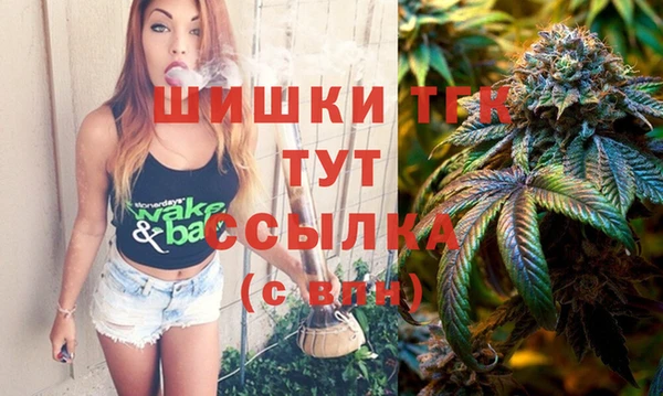 PSILOCYBIN Вязники
