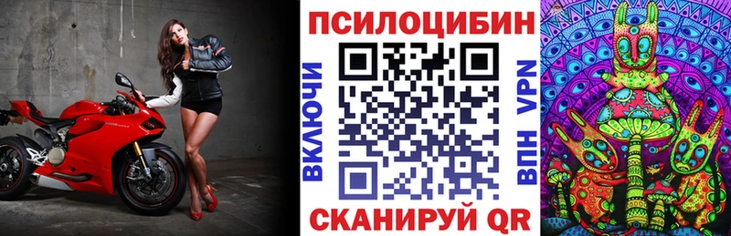 Псилоцибиновые грибы Cubensis  kraken   Долинск 